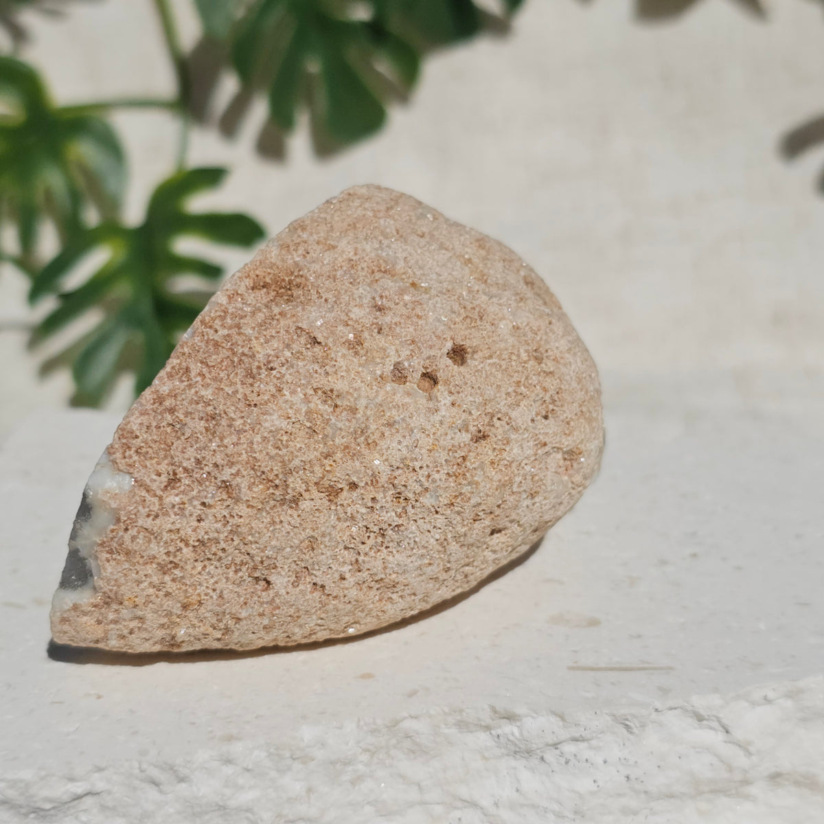 Brazilian Agate Geode (M-F)