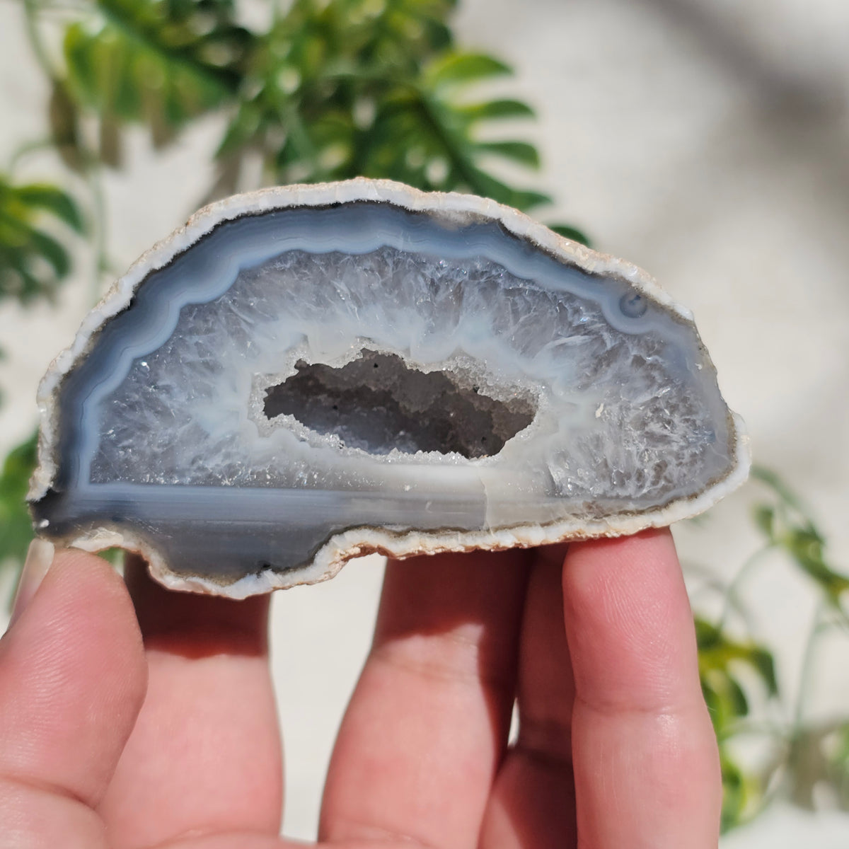 Brazilian Agate Geode (M-F)