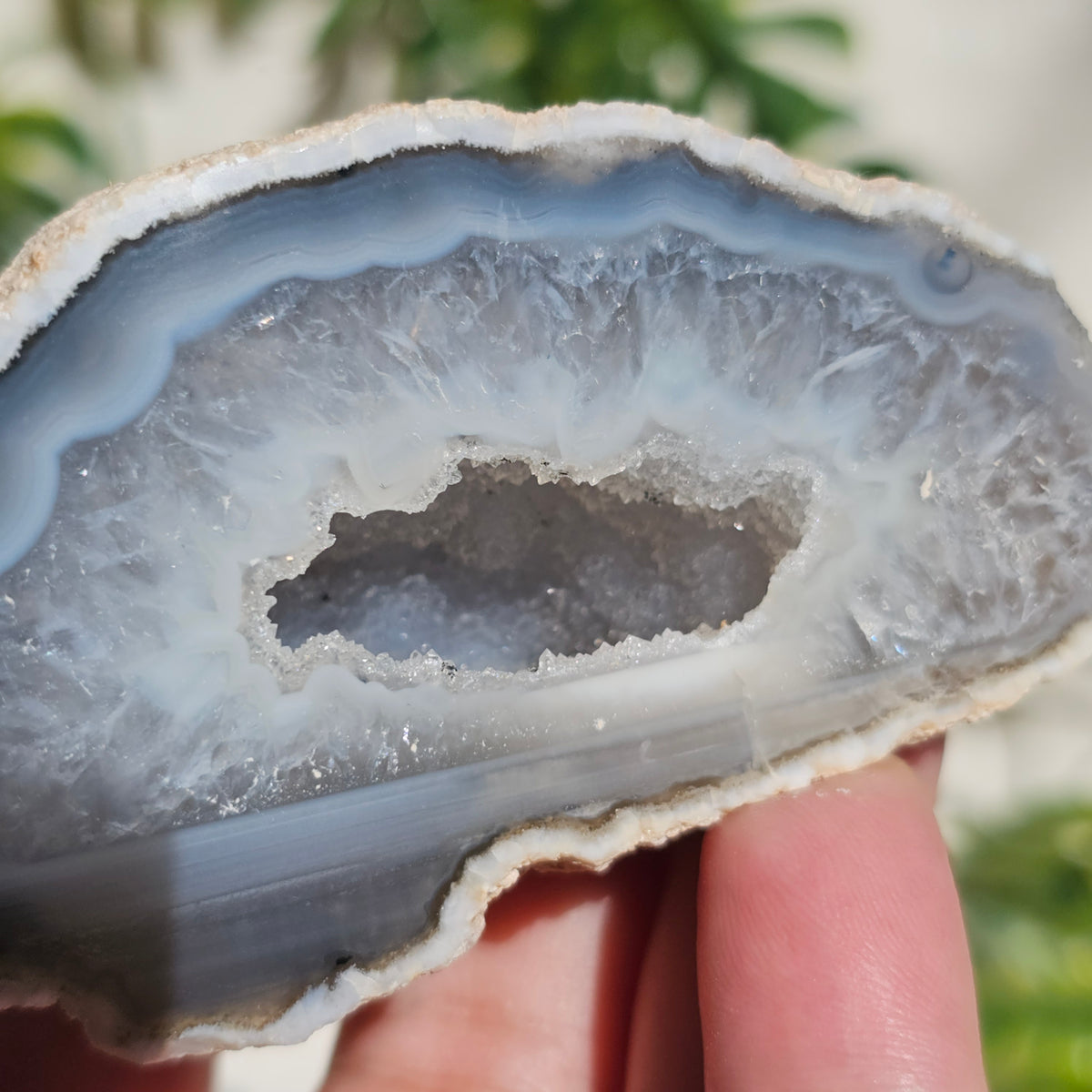 Brazilian Agate Geode (M-F)