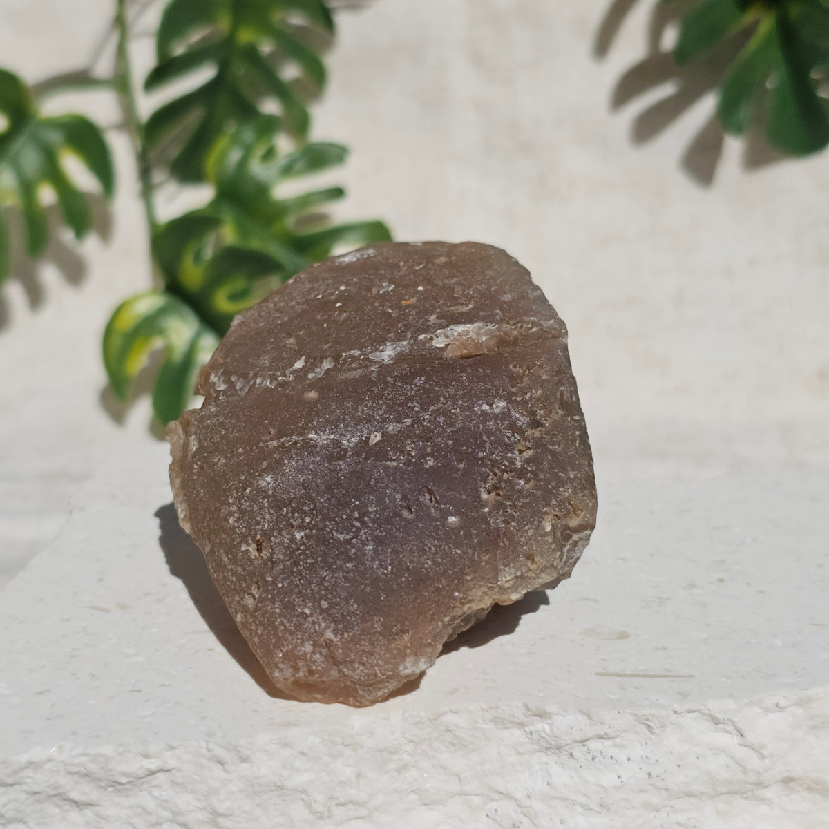Brazilian Agate Geode (M-G)