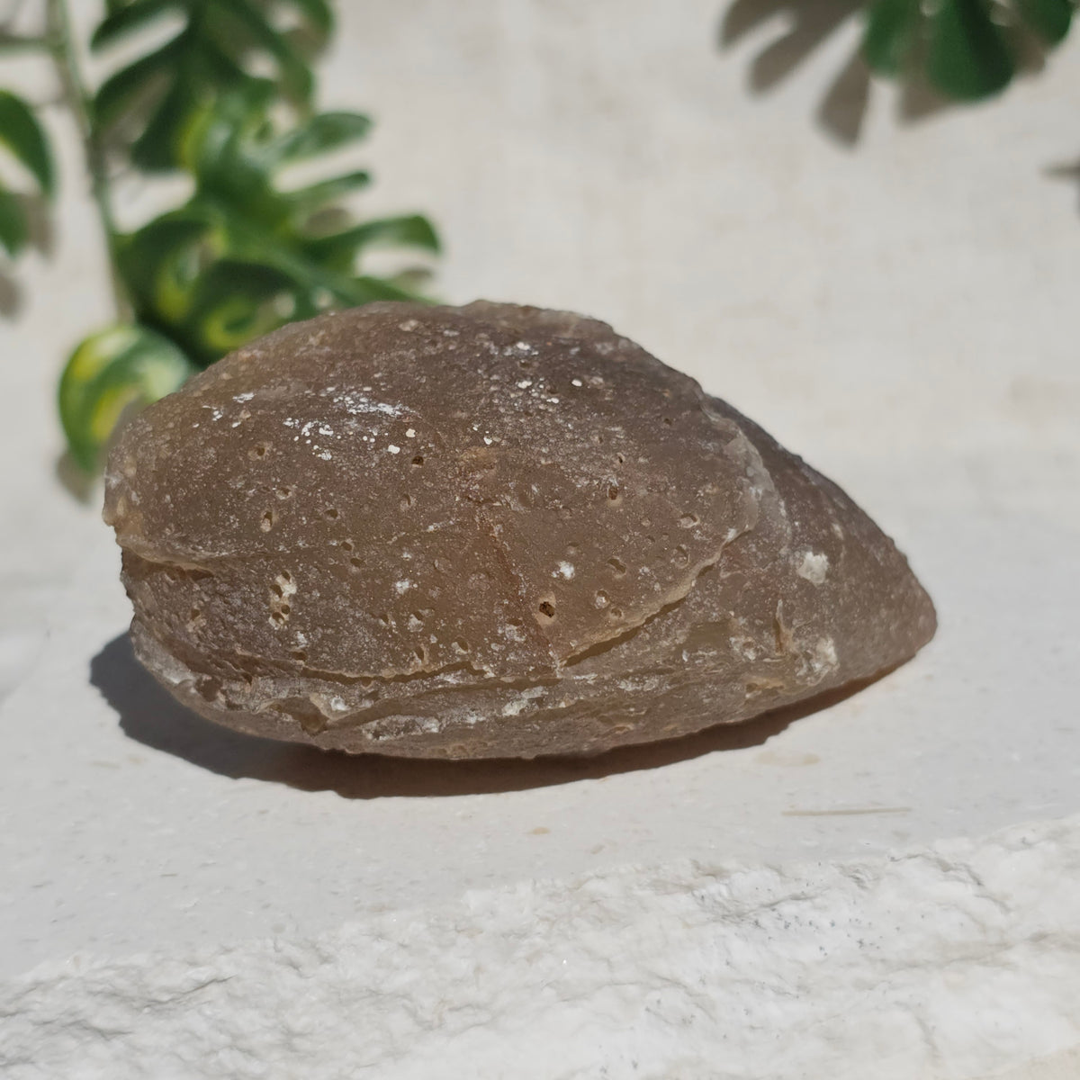 Brazilian Agate Geode (M-G)