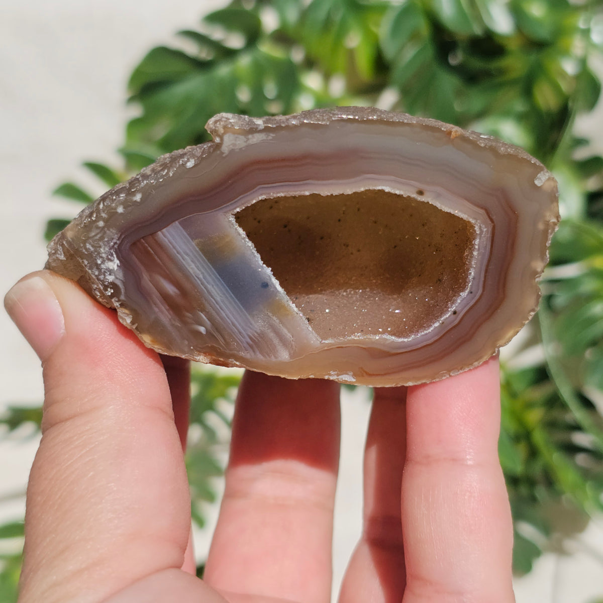 Brazilian Agate Geode (M-G)