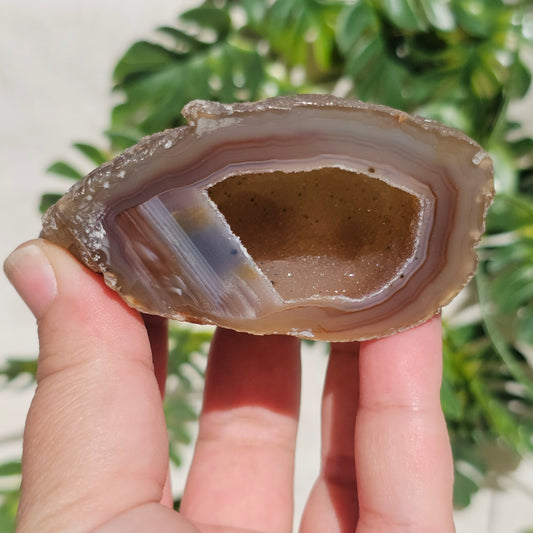 Brazilian Agate Geode (M-G)