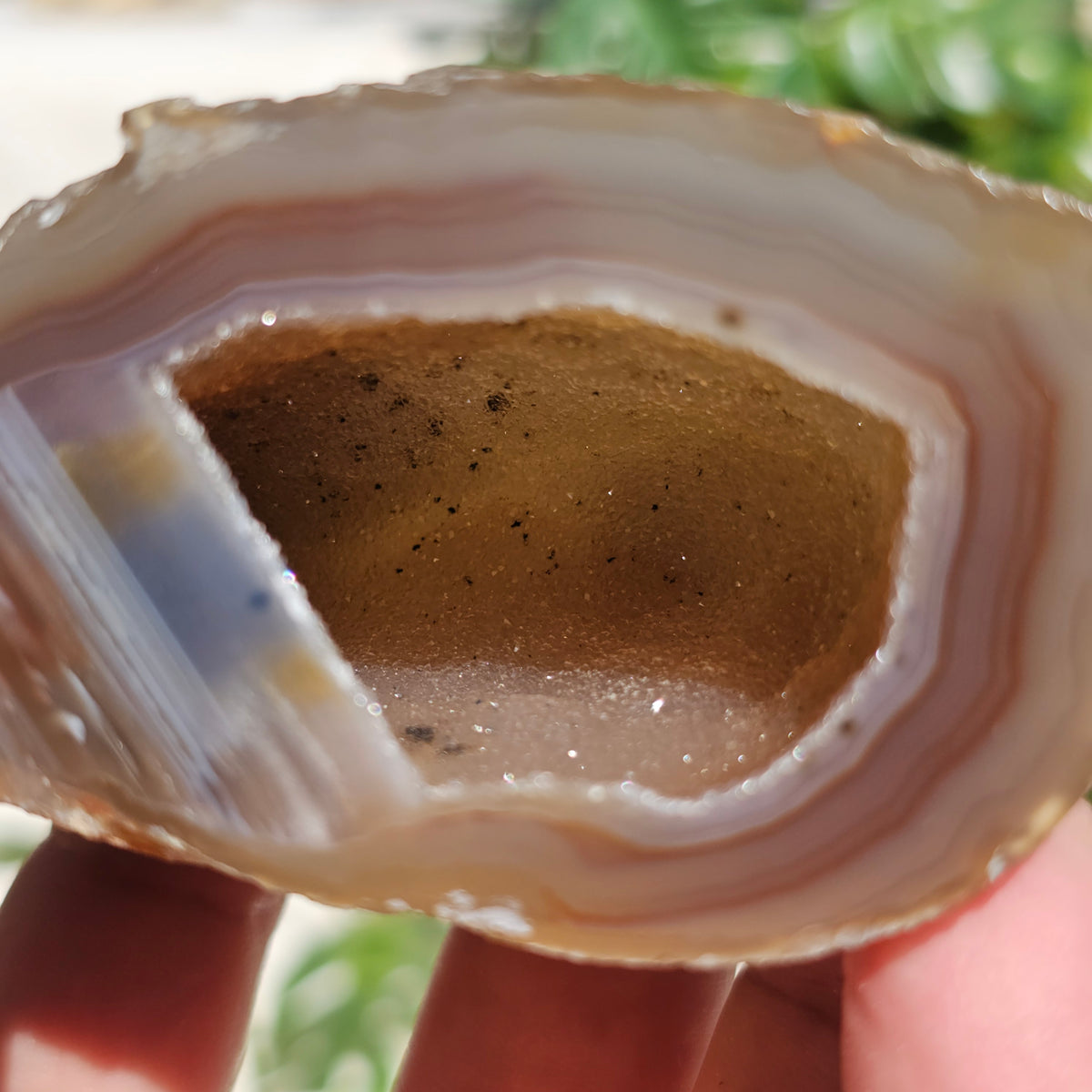 Brazilian Agate Geode (M-G)