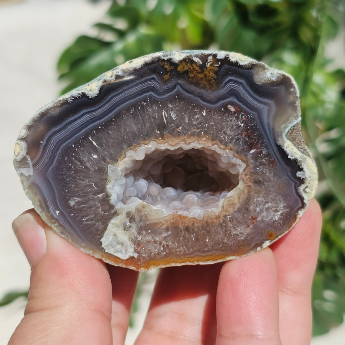 Brazilian Agate Geode (M-I)