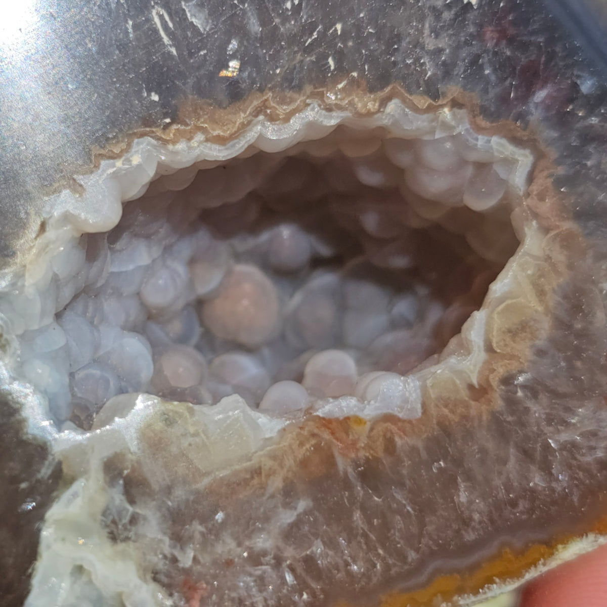 Brazilian Agate Geode (M-I)