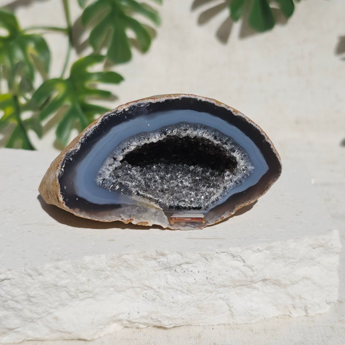 Brazilian Agate Geode (M-J)