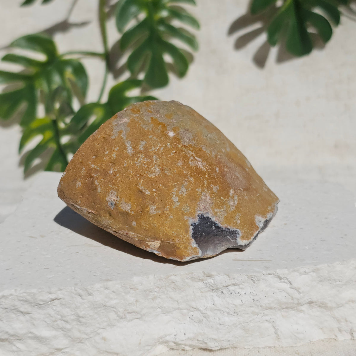 Brazilian Agate Geode (M-J)