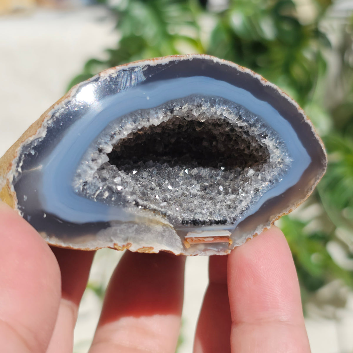 Brazilian Agate Geode (M-J)