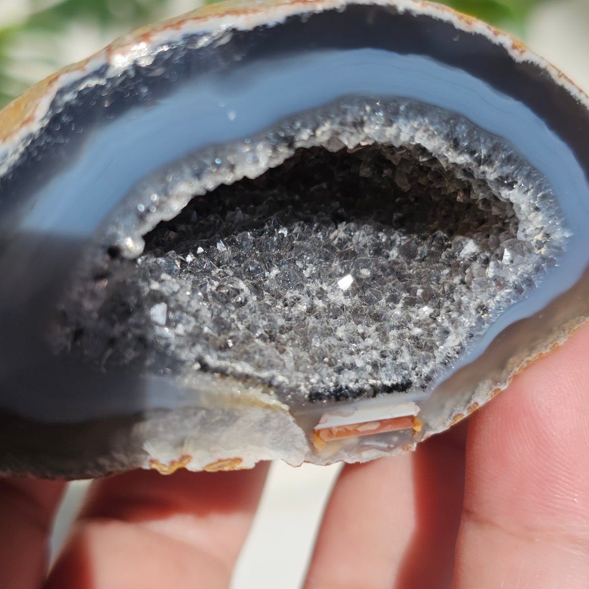 Brazilian Agate Geode (M-J)