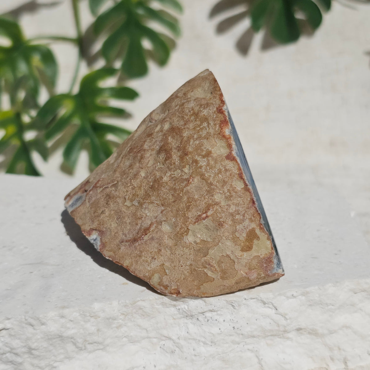 Brazilian Agate Geode (M-K)