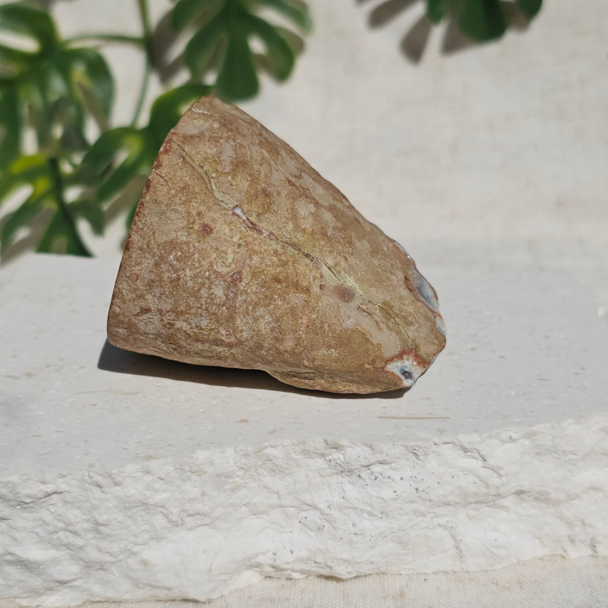 Brazilian Agate Geode (M-K)