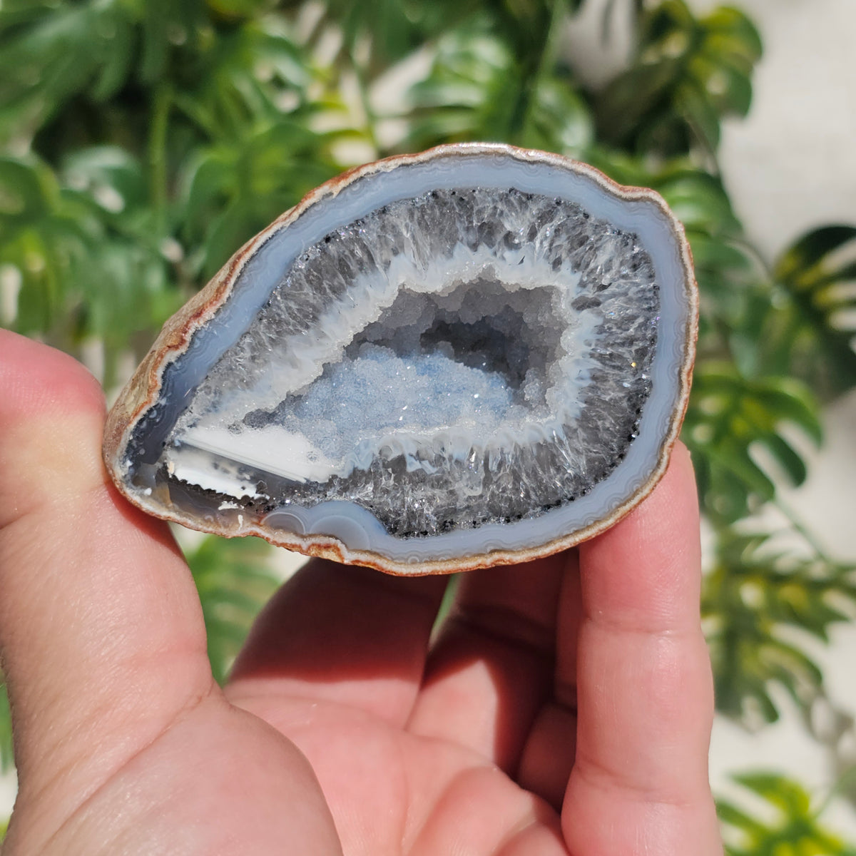 Brazilian Agate Geode (M-K)