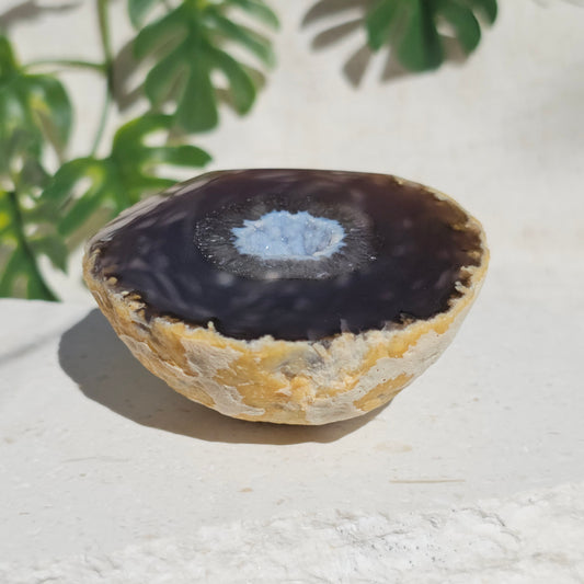 Brazilian Agate Geode (M-L)