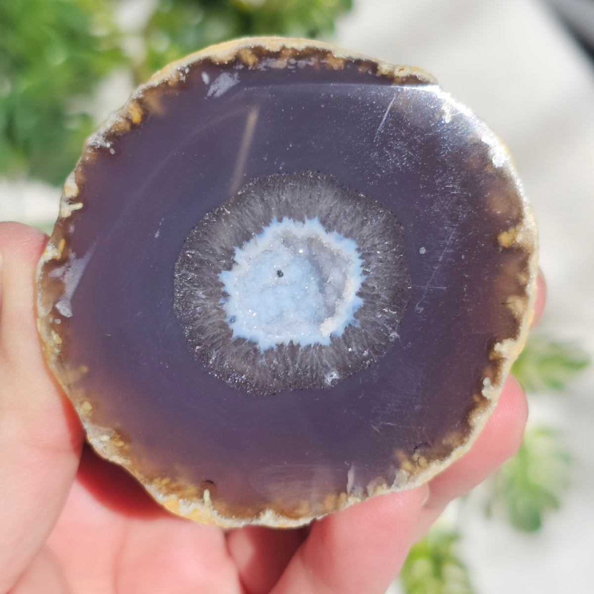 Brazilian Agate Geode (M-L)