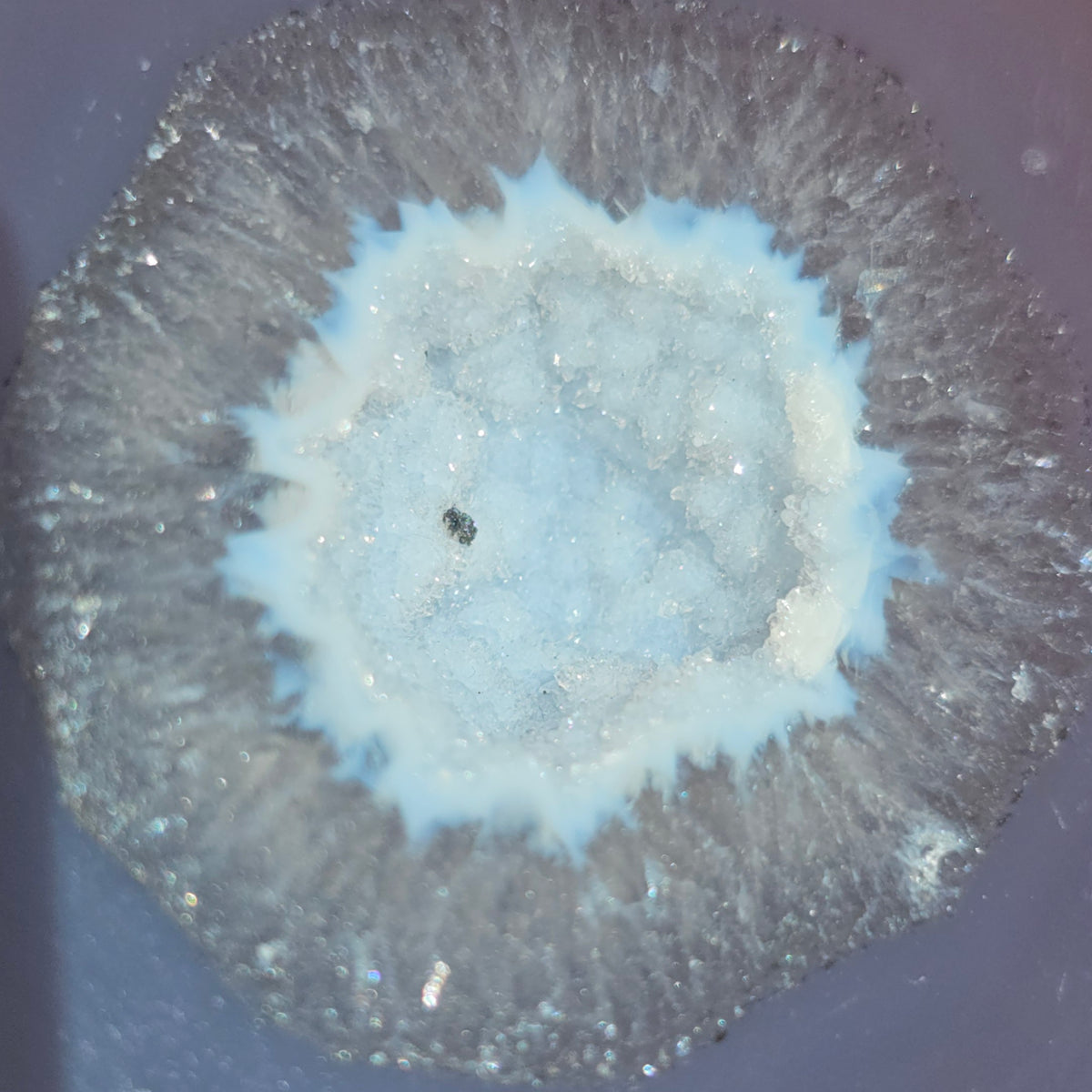 Brazilian Agate Geode (M-L)
