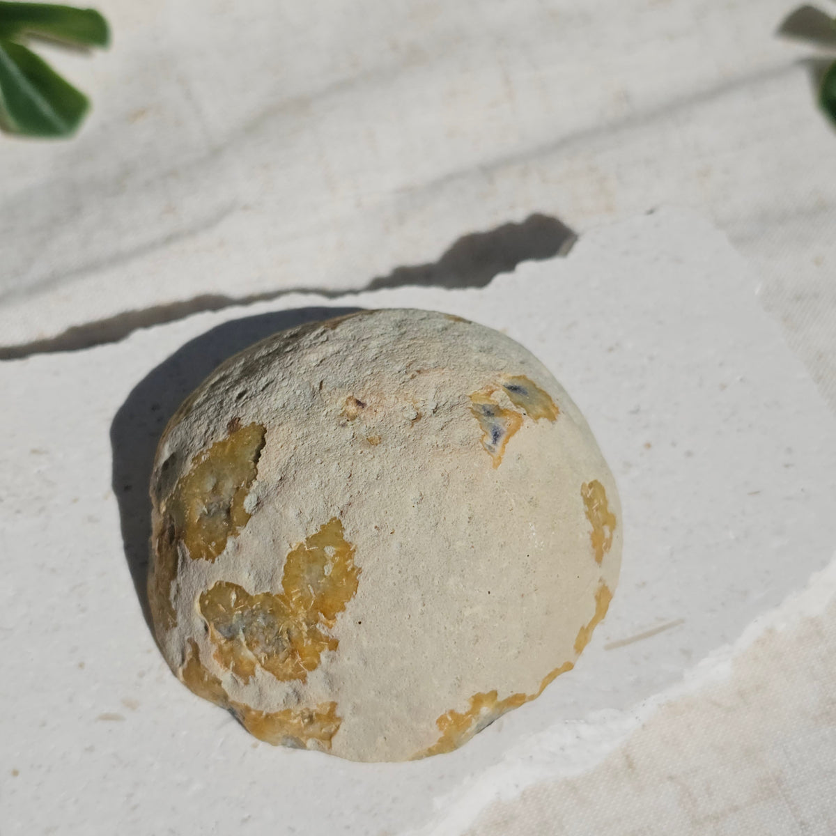 Brazilian Agate Geode (M-L)