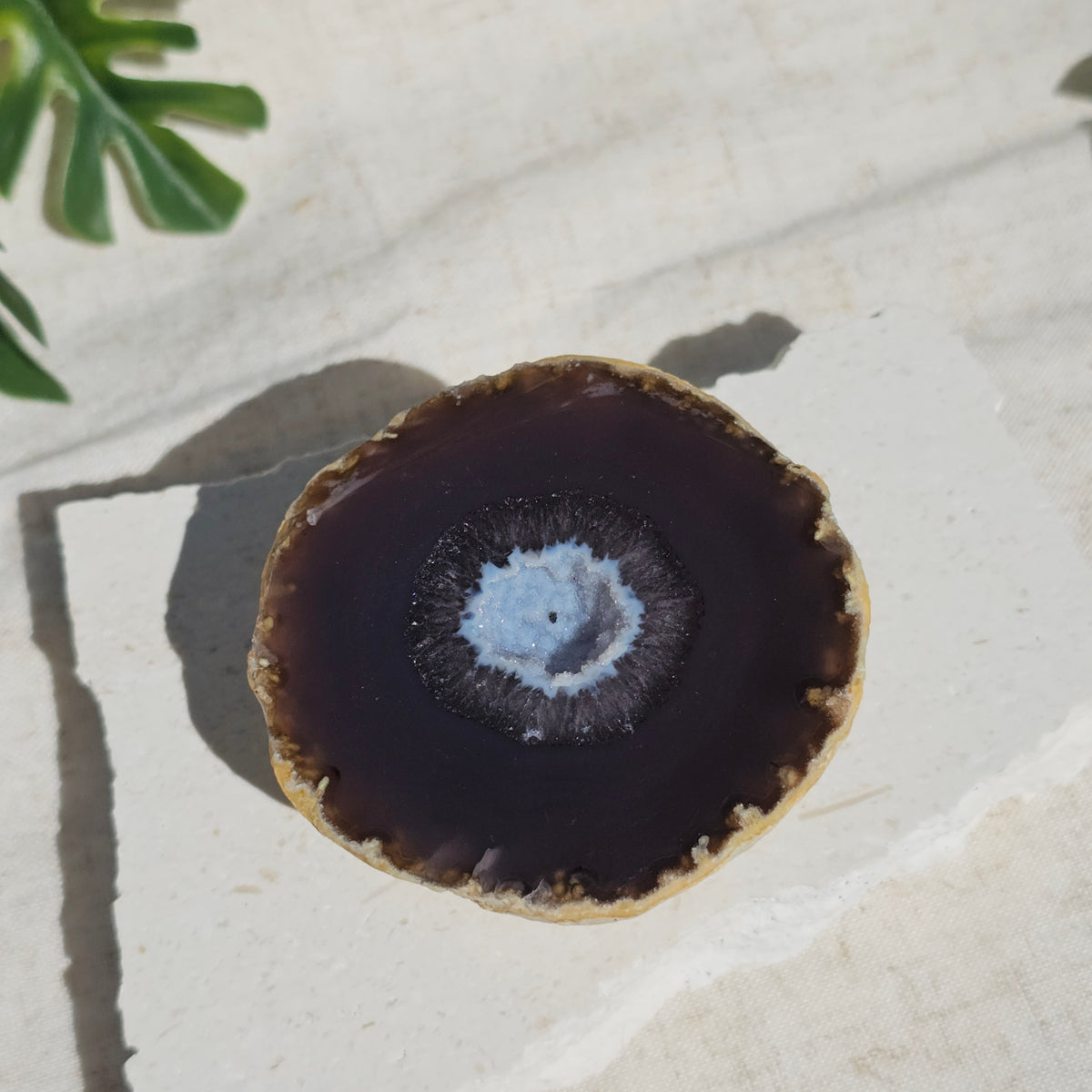 Brazilian Agate Geode (M-L)