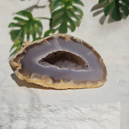 Brazilian Agate Geode (M-M)