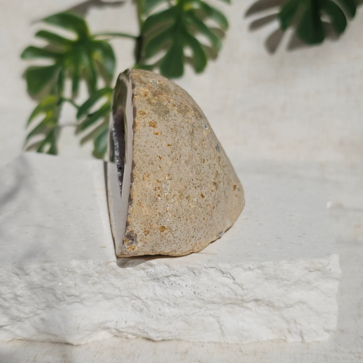 Brazilian Agate Geode (M-M)