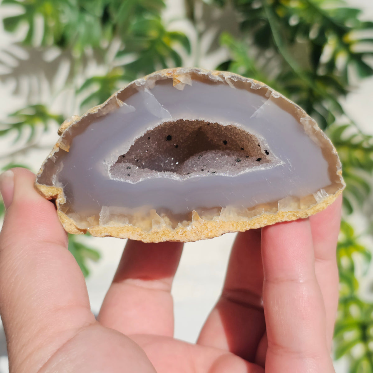 Brazilian Agate Geode (M-M)