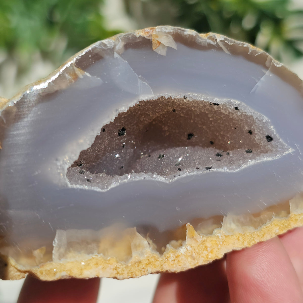 Brazilian Agate Geode (M-M)