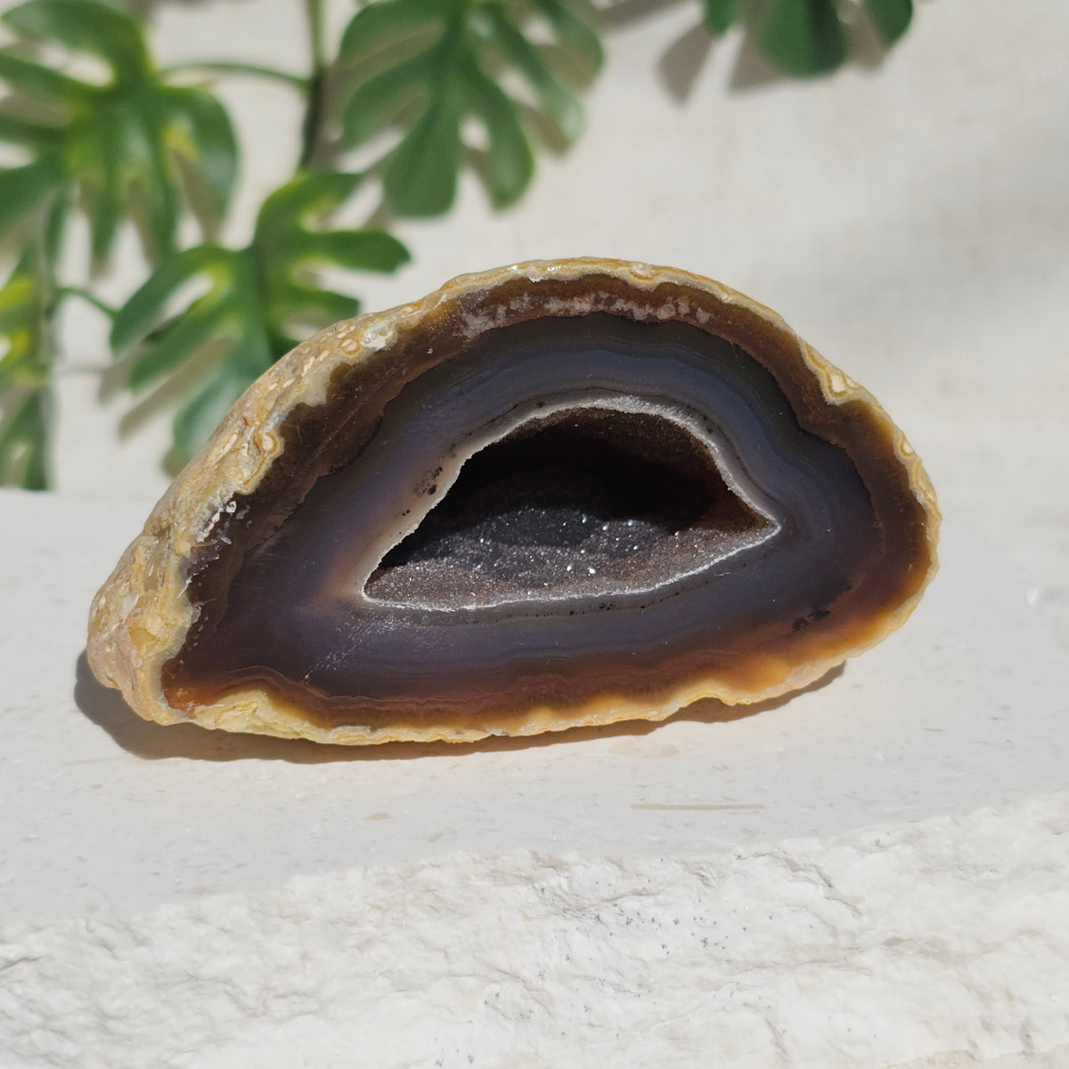 Brazilian Agate Geode (M-N)
