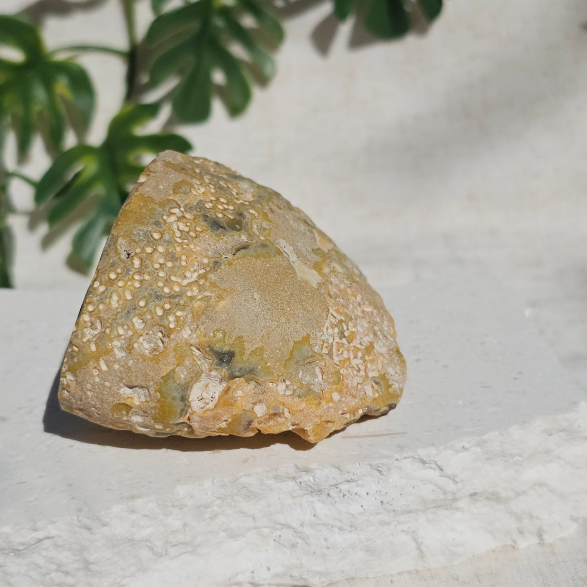 Brazilian Agate Geode (M-N)