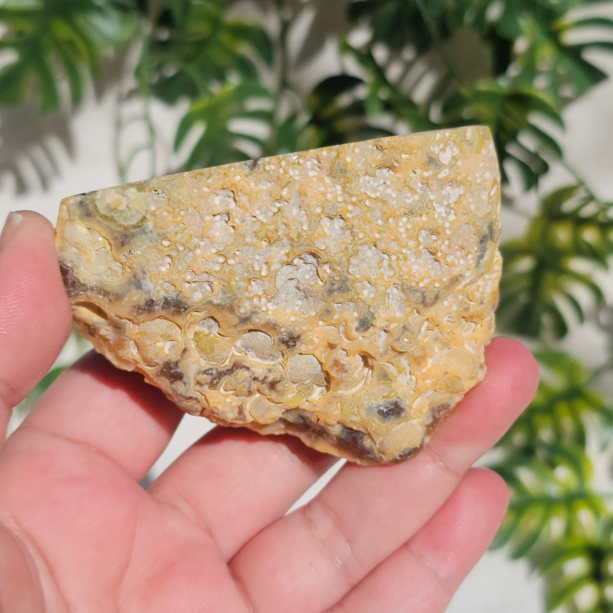 Brazilian Agate Geode (M-N)