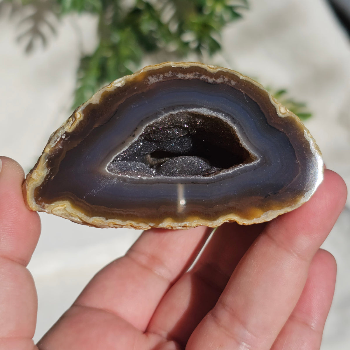Brazilian Agate Geode (M-N)
