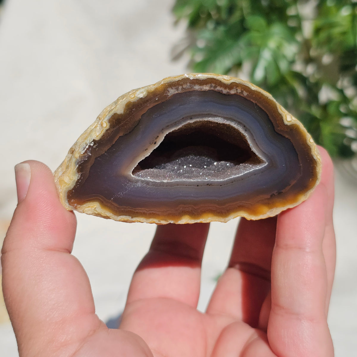 Brazilian Agate Geode (M-N)