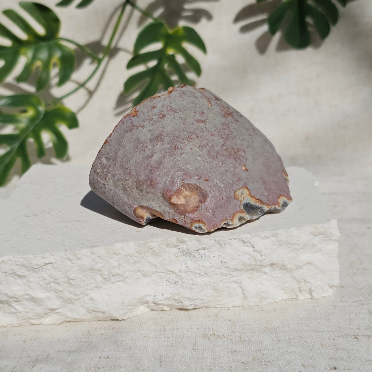 Brazilian Agate Geode (M-O)