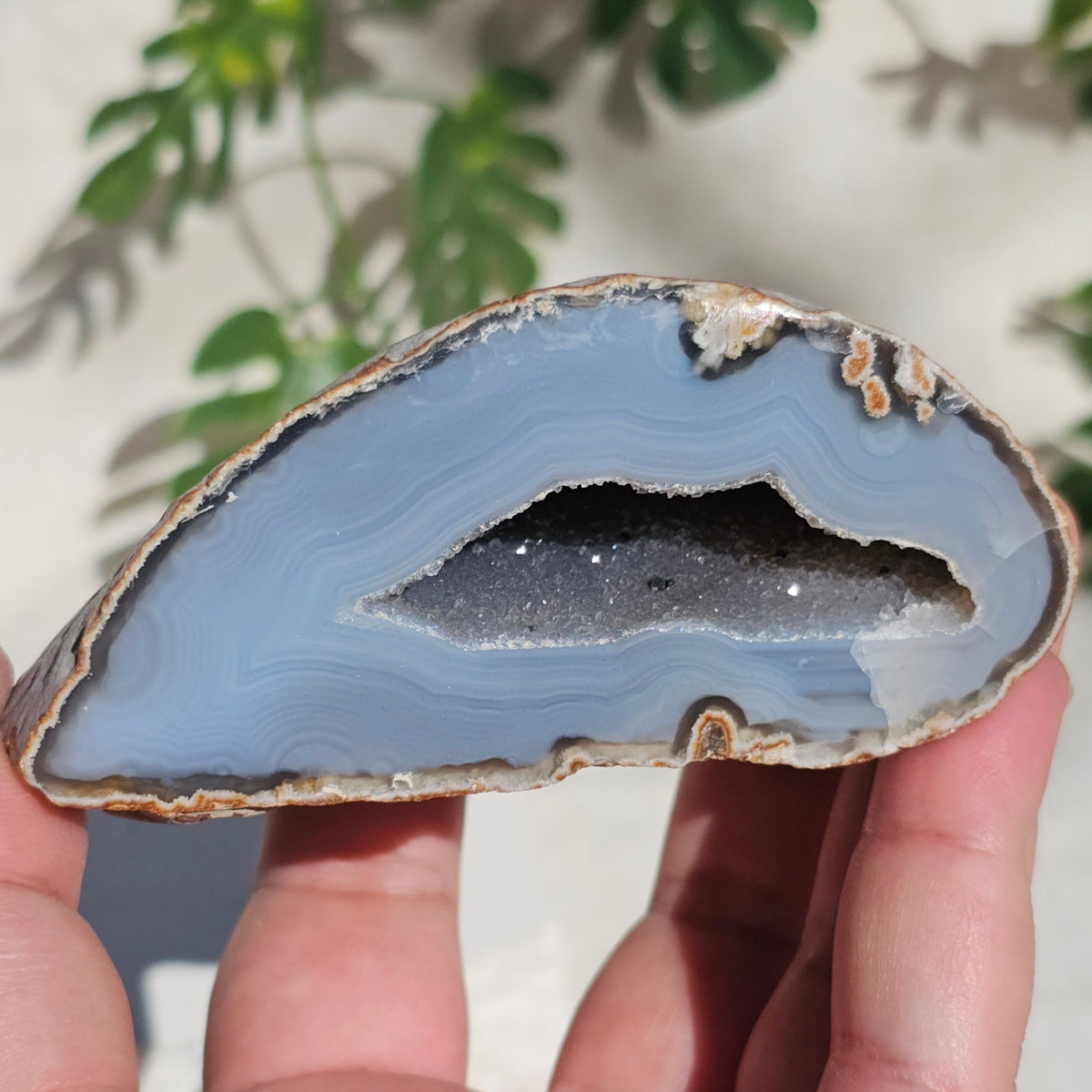 Brazilian Agate Geode (M-O)