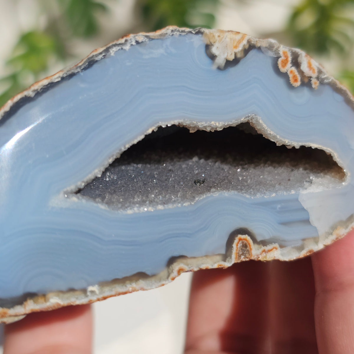 Brazilian Agate Geode (M-O)