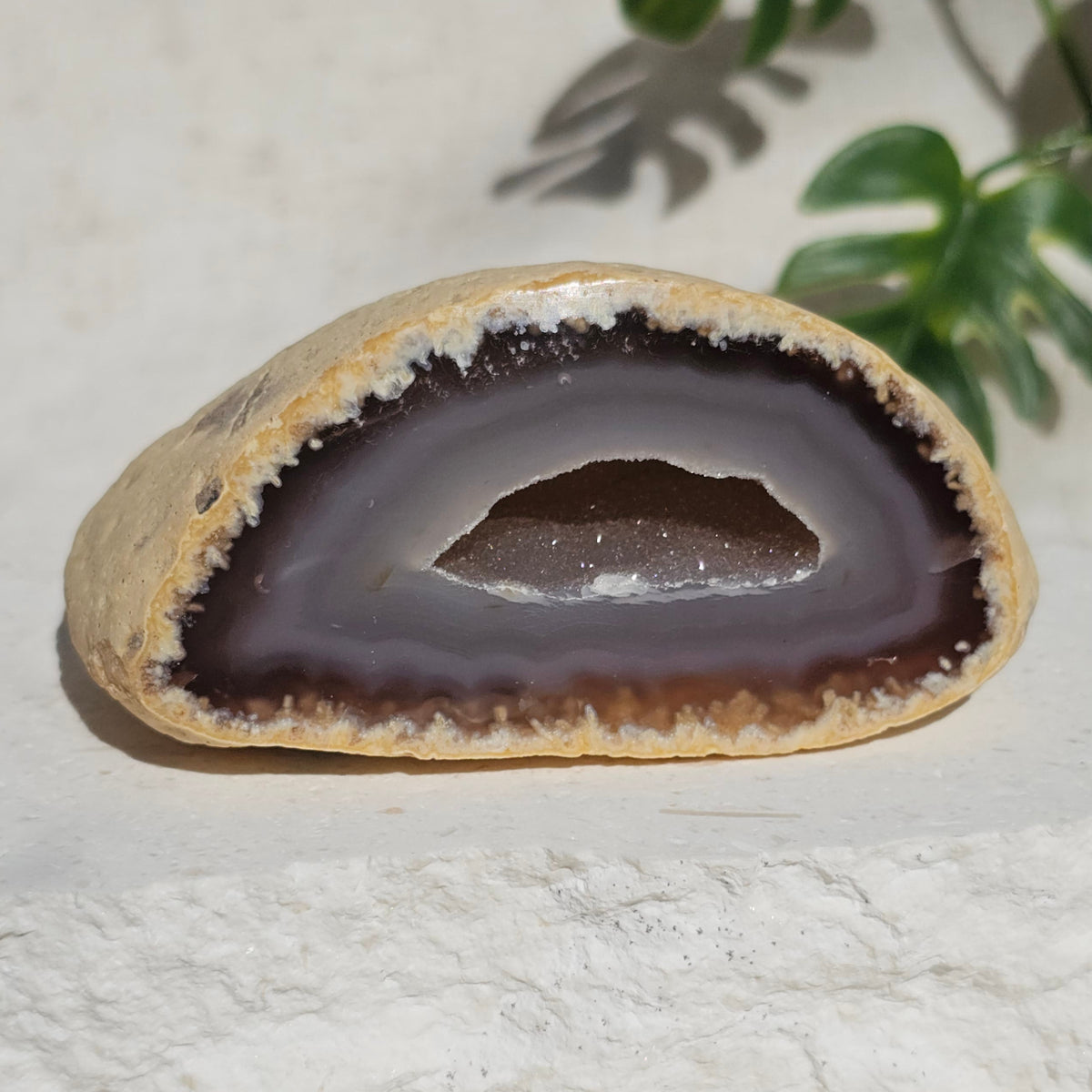 Brazilian Agate Geode (M-P)