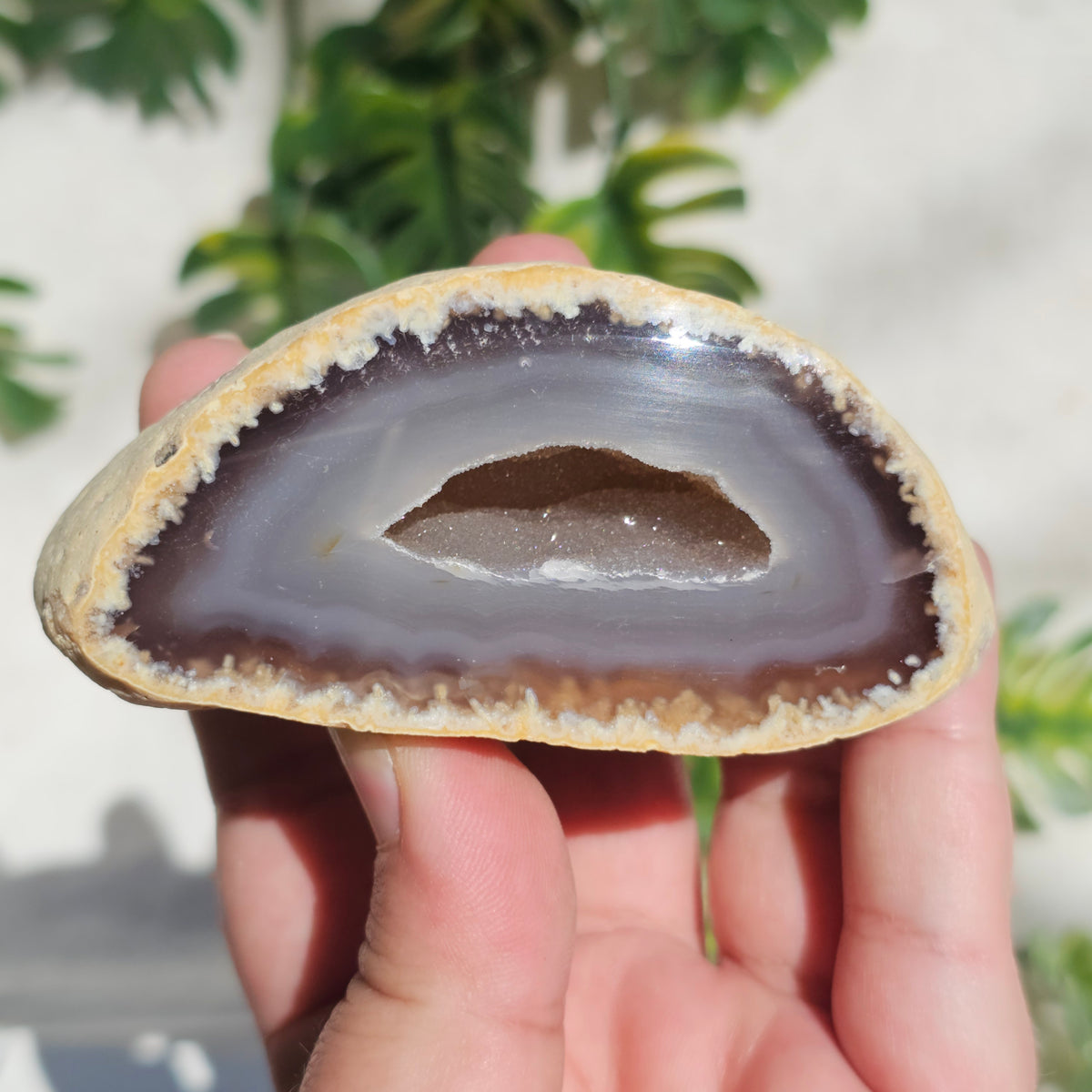 Brazilian Agate Geode (M-P)
