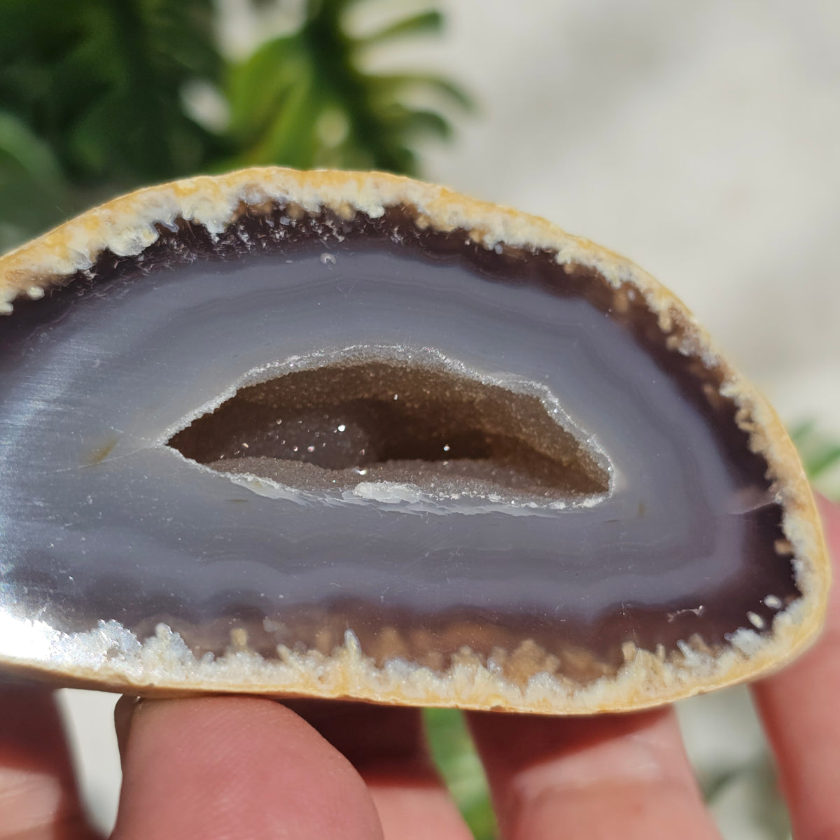 Brazilian Agate Geode (M-P)