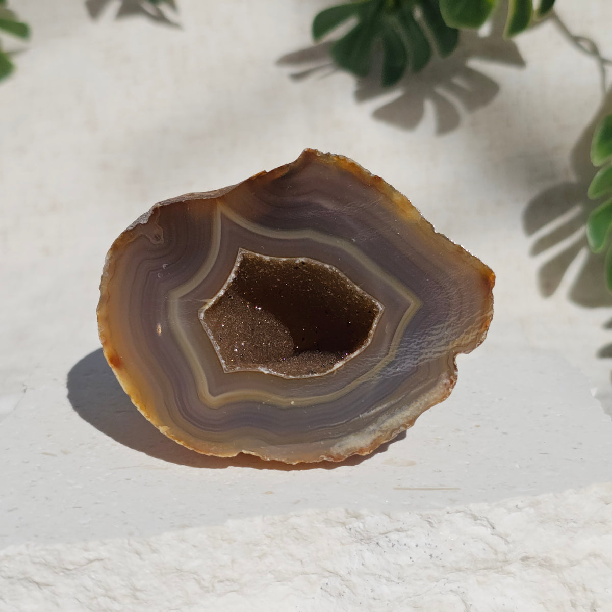 Brazilian Agate Geode (L-A)