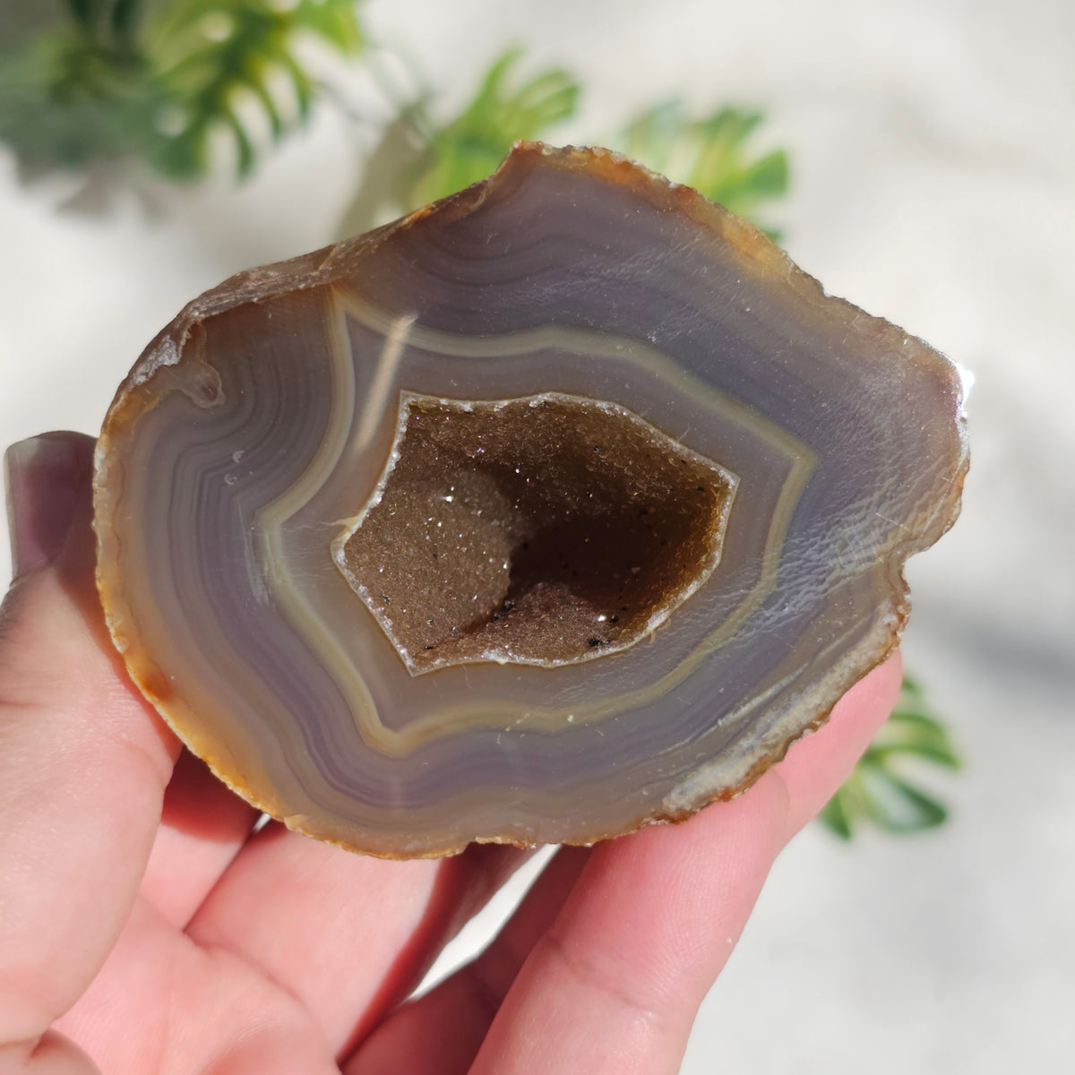 Brazilian Agate Geode (L-A)