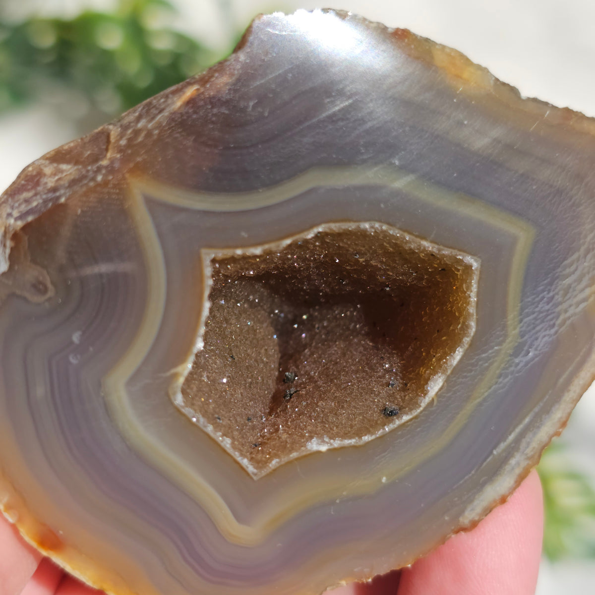 Brazilian Agate Geode (L-A)