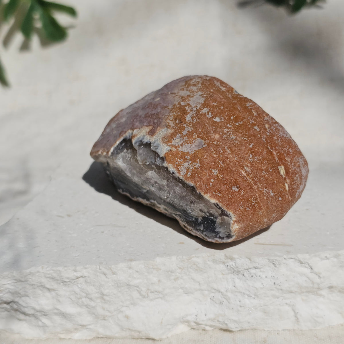 Brazilian Agate Geode (L-B)
