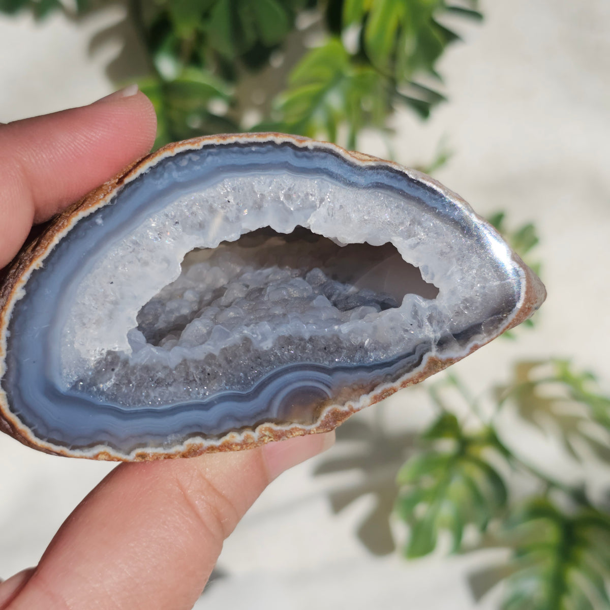 Brazilian Agate Geode (L-B)