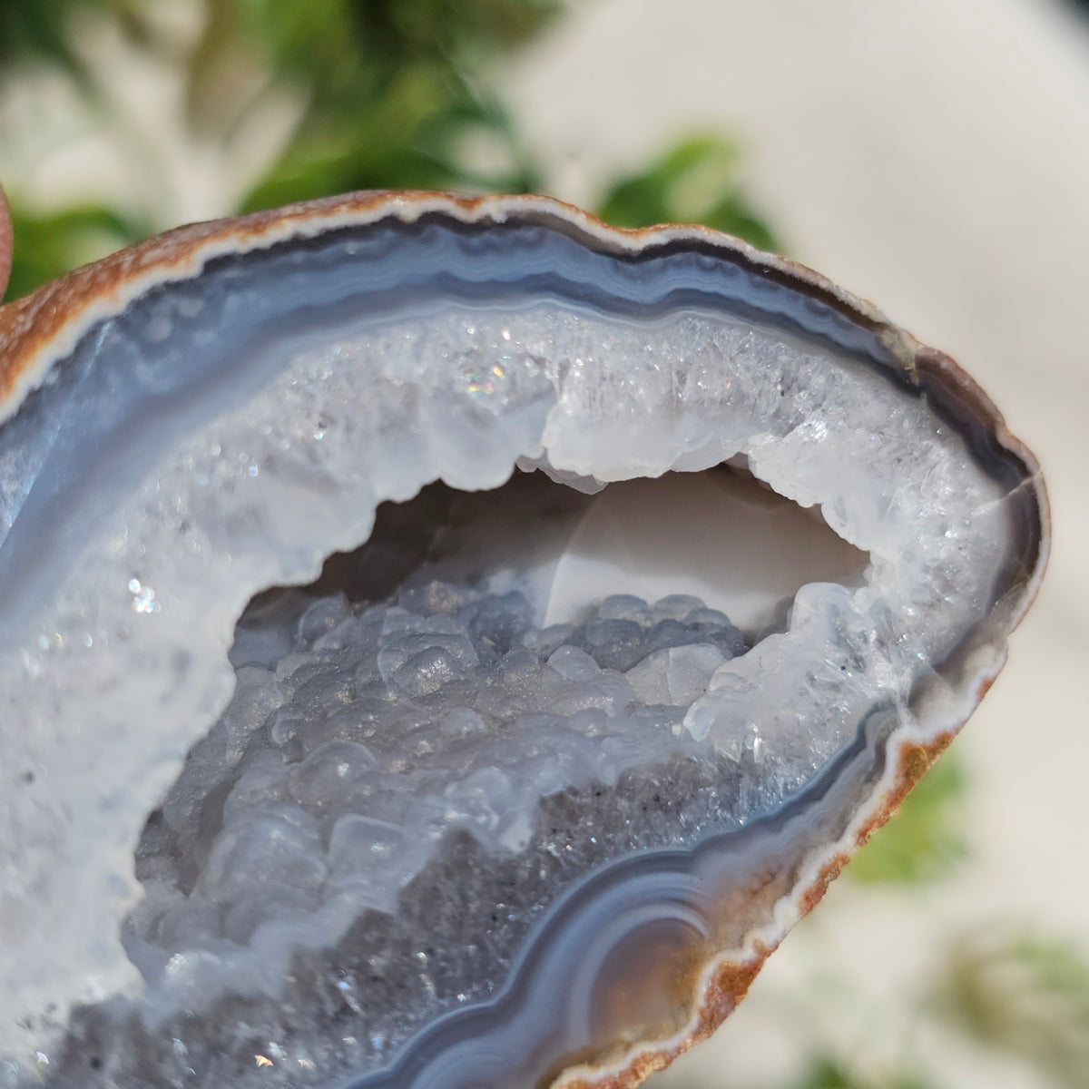 Brazilian Agate Geode (L-B)