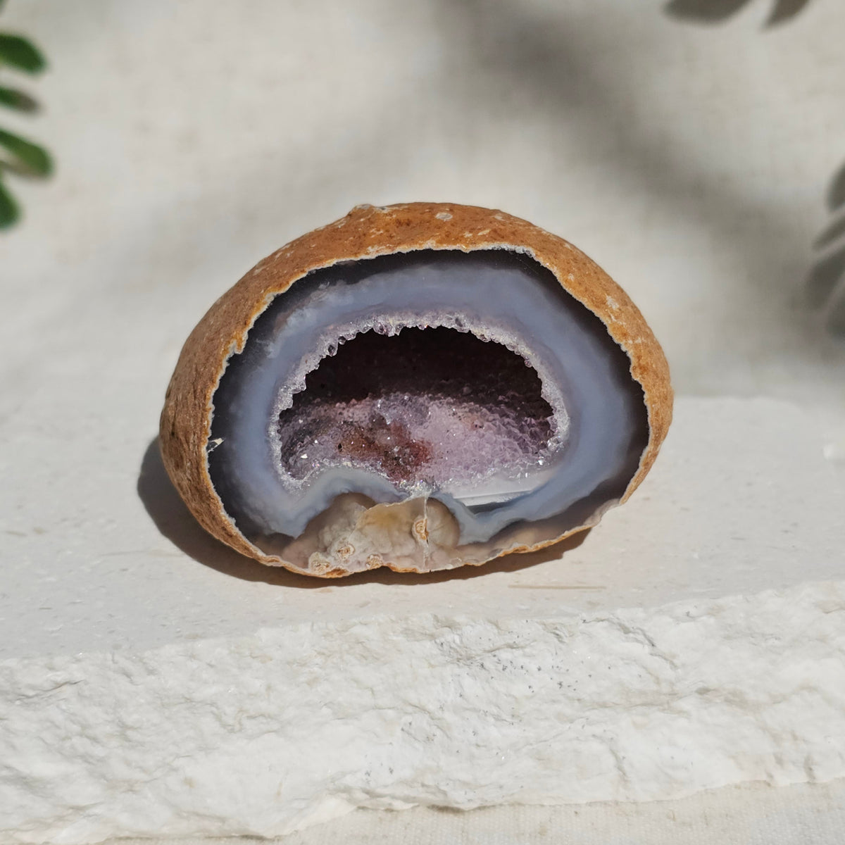 Brazilian Agate Geode (L-C)