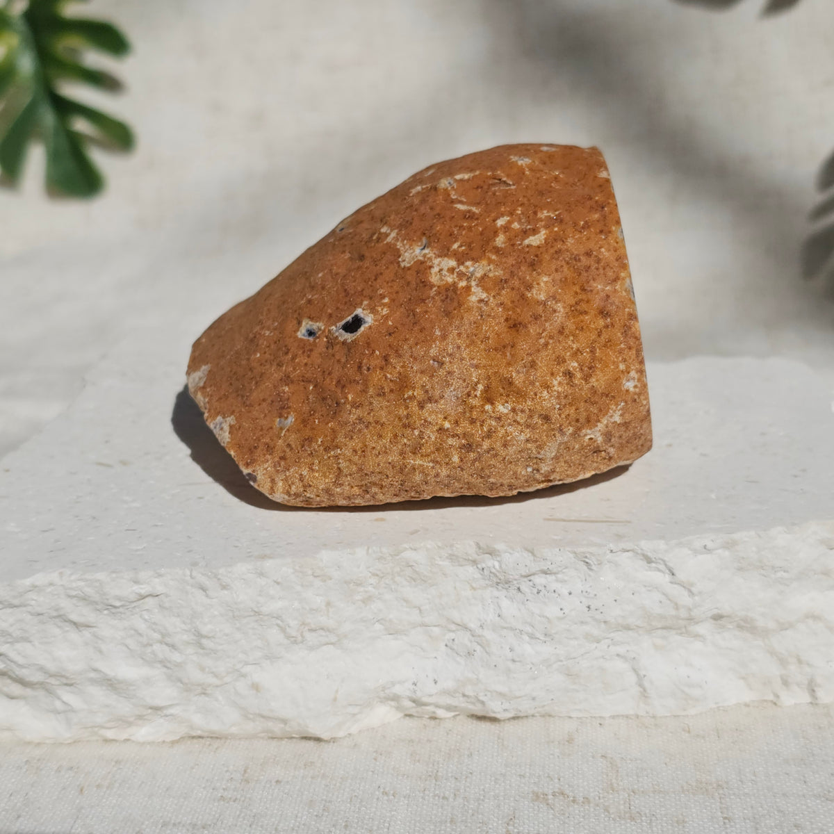 Brazilian Agate Geode (L-C)