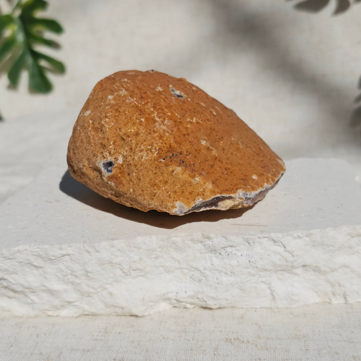 Brazilian Agate Geode (L-C)