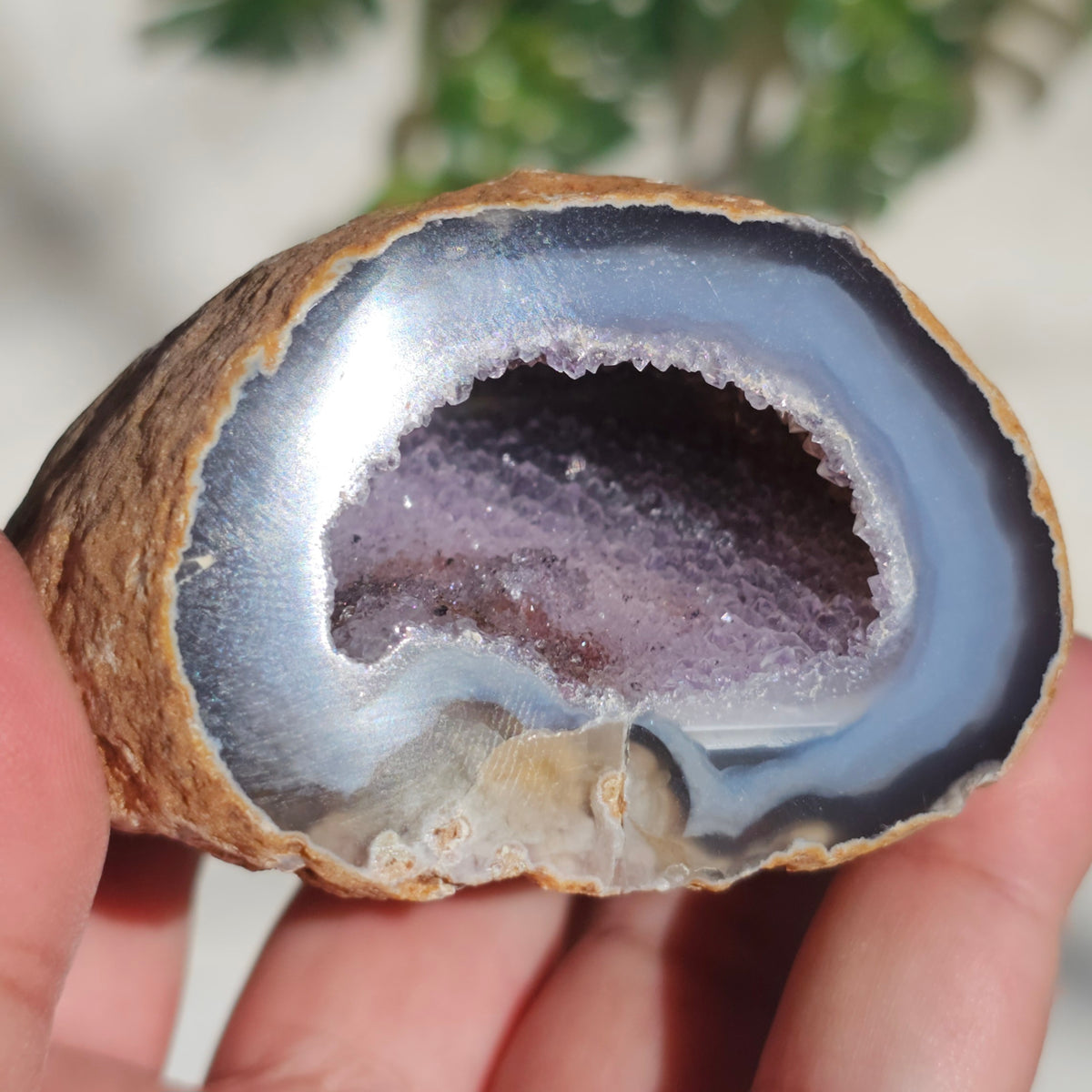 Brazilian Agate Geode (L-C)