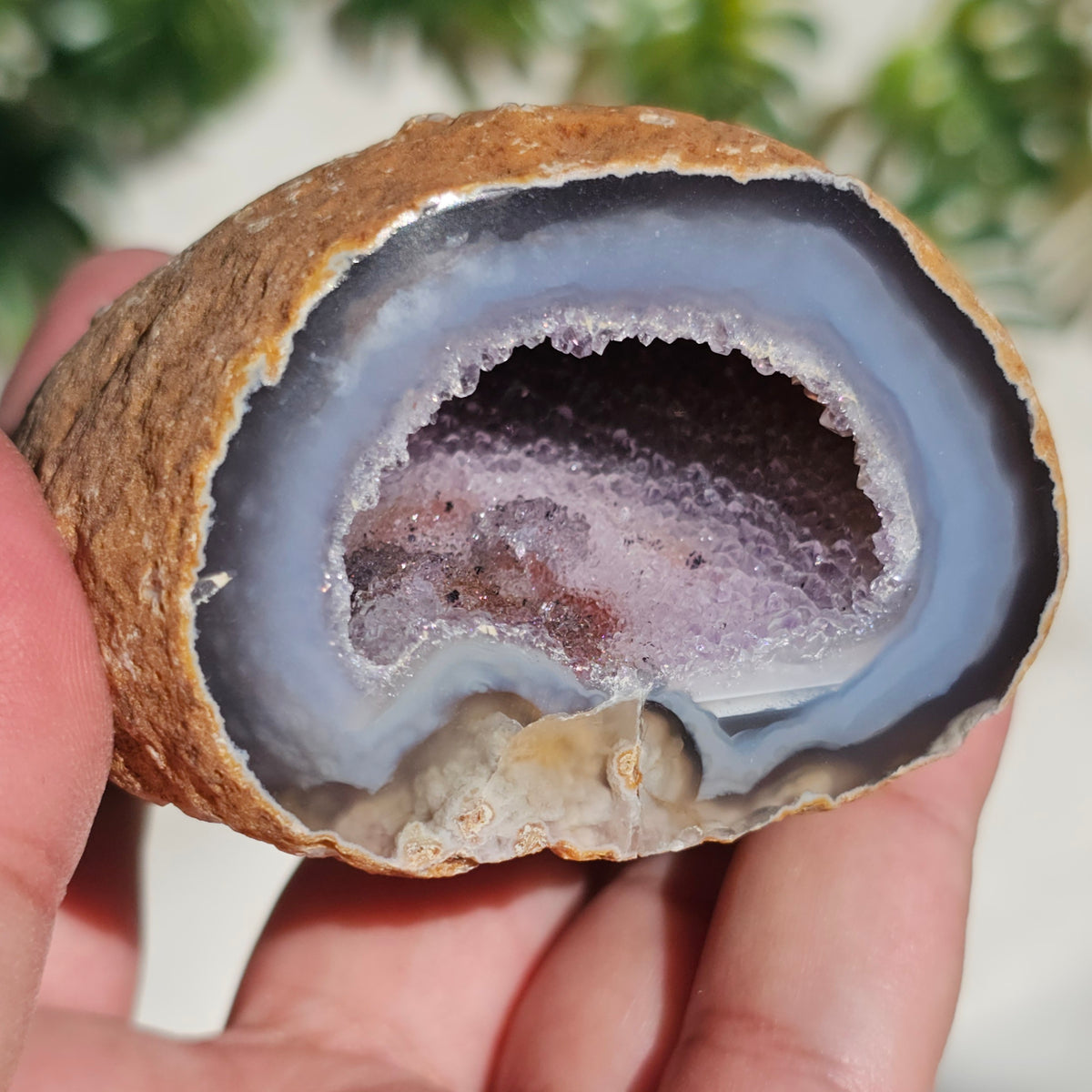 Brazilian Agate Geode (L-C)