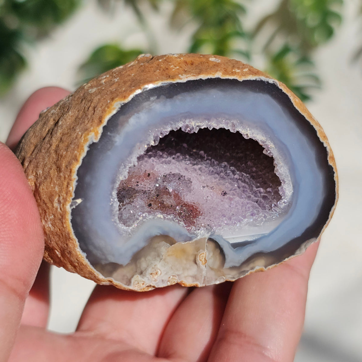 Brazilian Agate Geode (L-C)