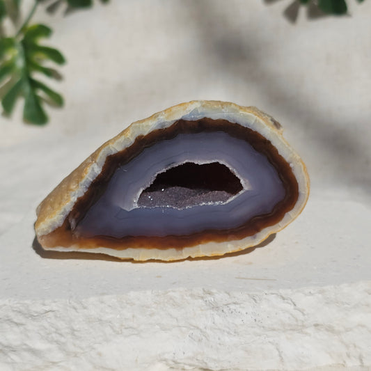 Brazilian Agate Geode (L-D)